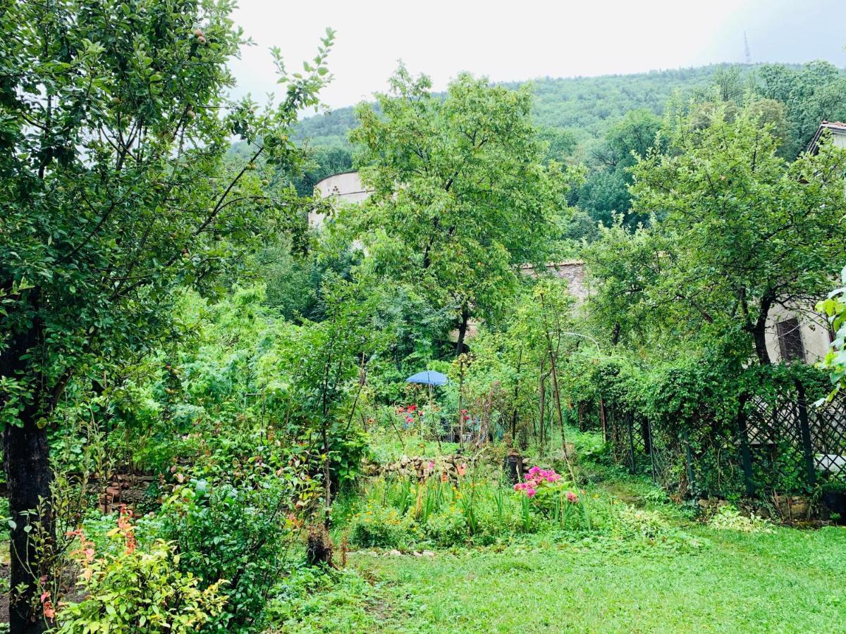Maan Central Apartment Pet Friendly Location Braşov Extérieur photo