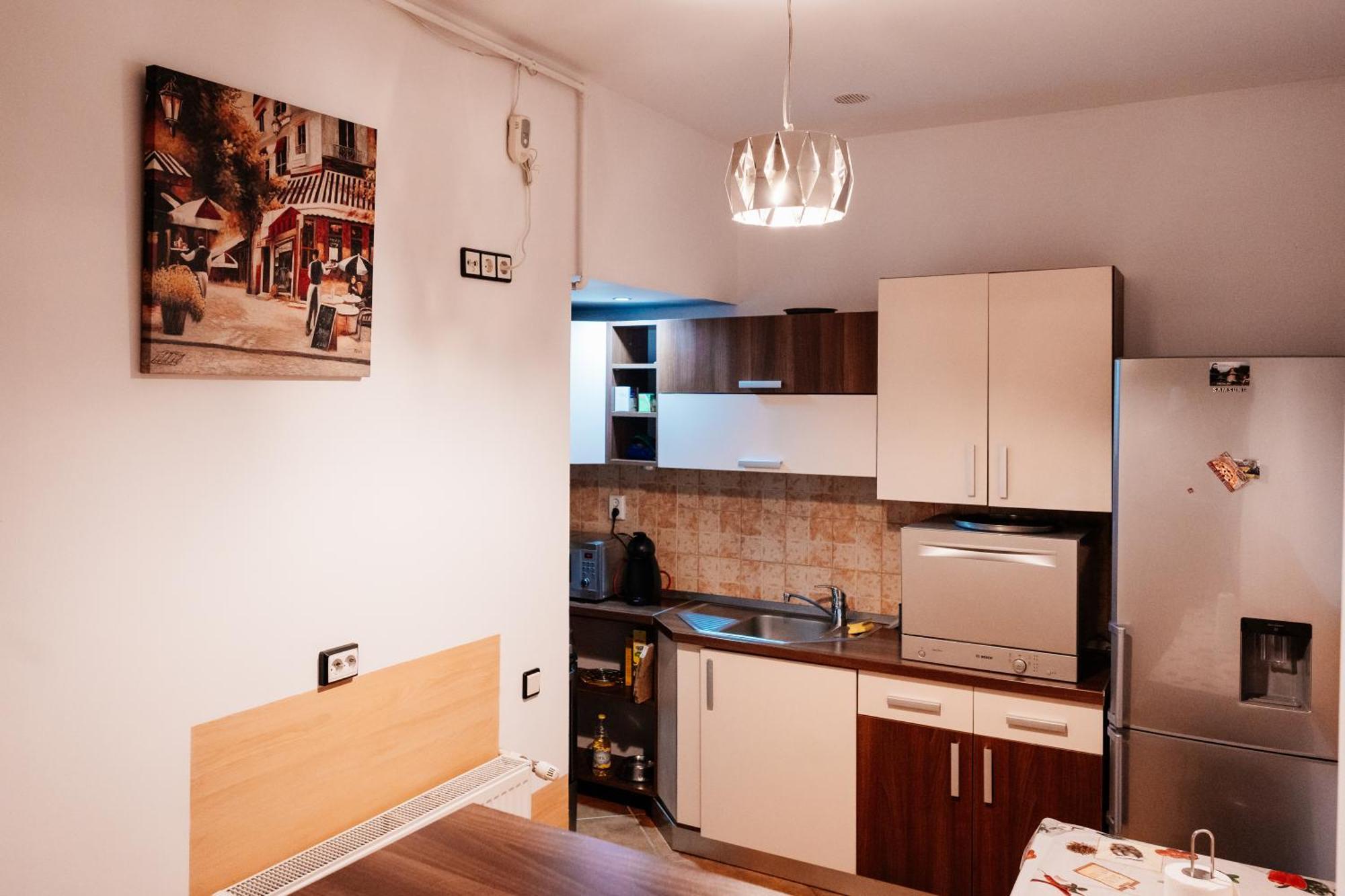 Maan Central Apartment Pet Friendly Location Braşov Extérieur photo